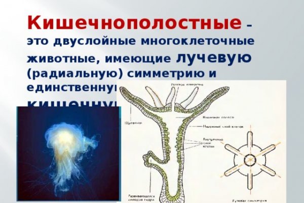 Как зайти в кракен с айфона